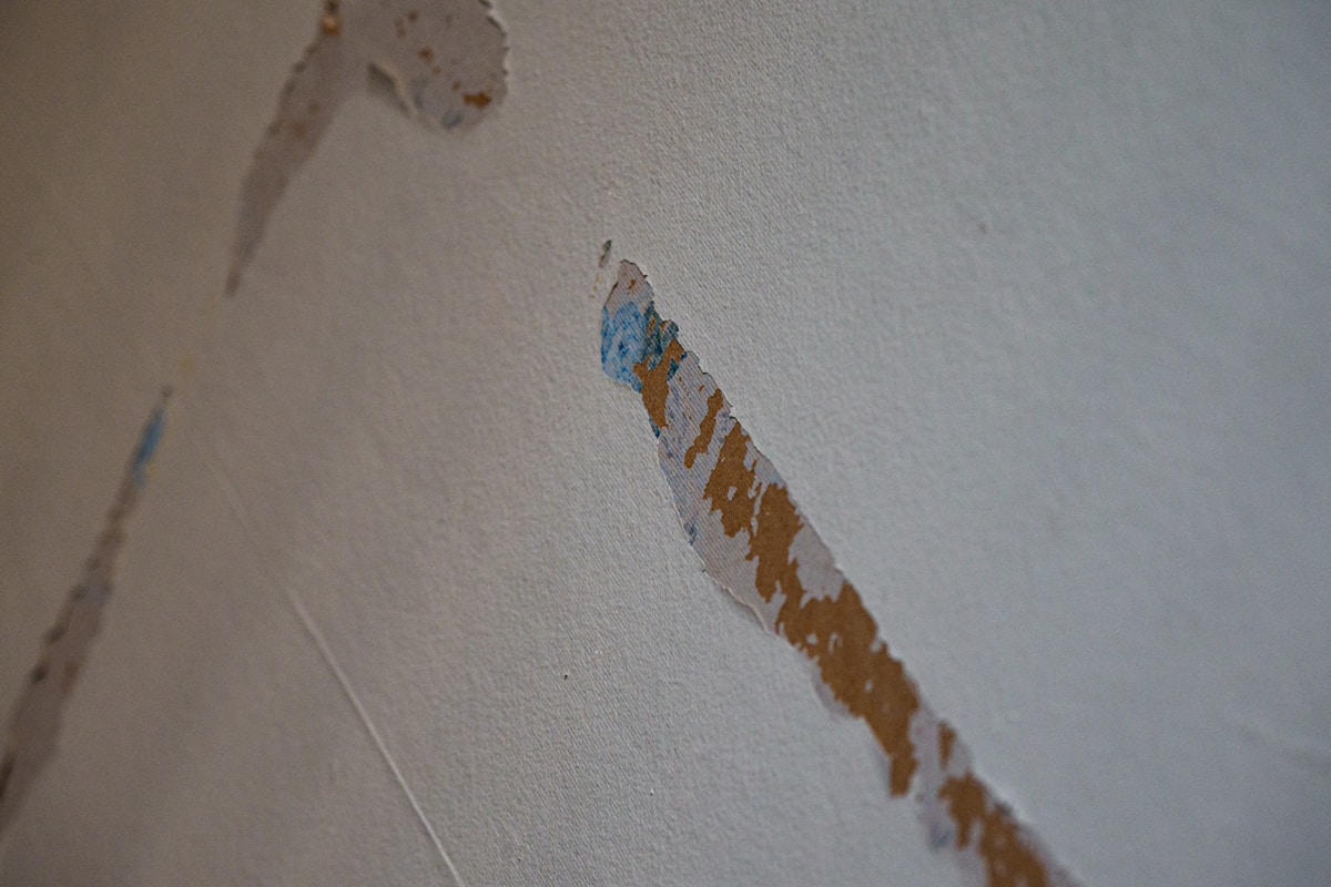 Mold Remediation service in Pawtucket, RI